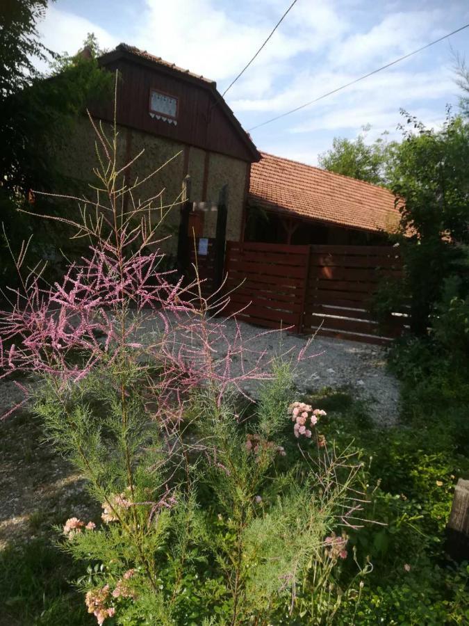 Ruralna Kuca Za Odmor Pozojova Hiza - Rural Holiday House Lopatinec Exterior photo