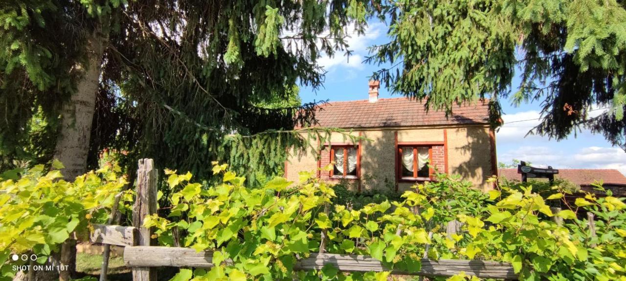 Ruralna Kuca Za Odmor Pozojova Hiza - Rural Holiday House Lopatinec Exterior photo